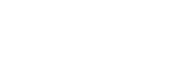 DDV_Logo_Mitglied